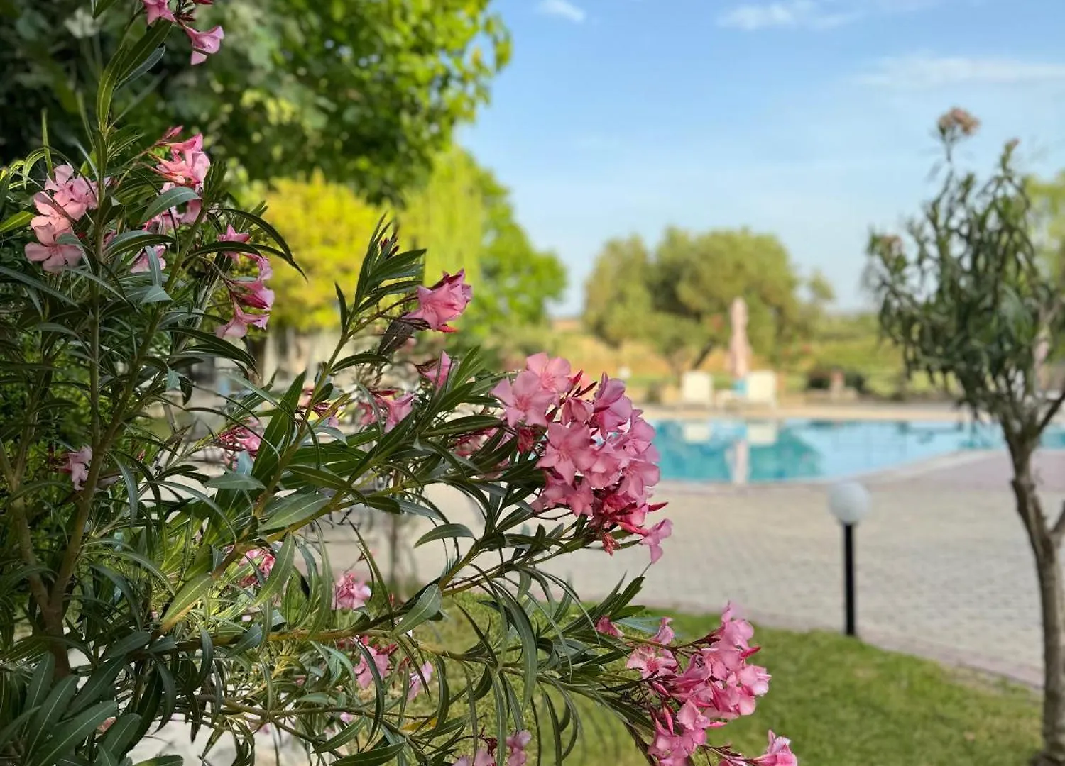 Dafnes Rooms Fourka Guest house